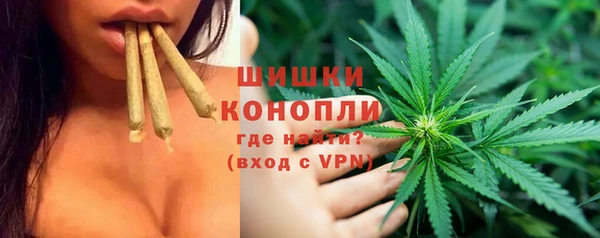 PSILOCYBIN Балабаново