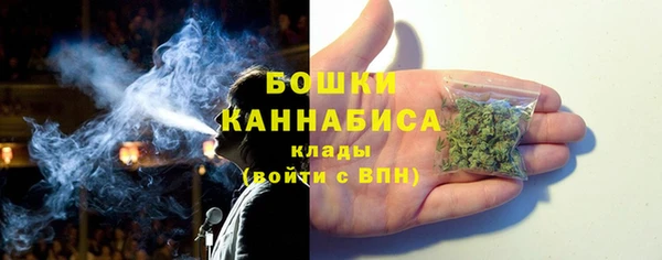 PSILOCYBIN Балабаново