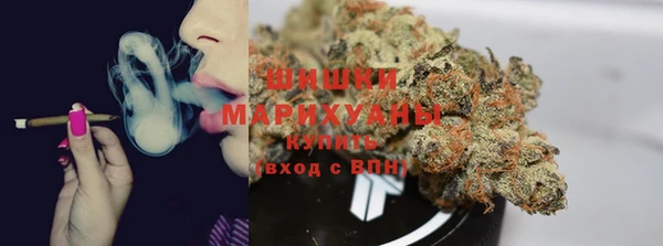 PSILOCYBIN Балабаново