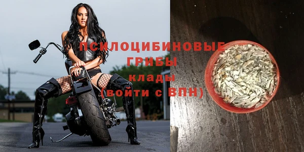 крисы Ростов