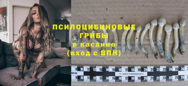 PSILOCYBIN Балабаново